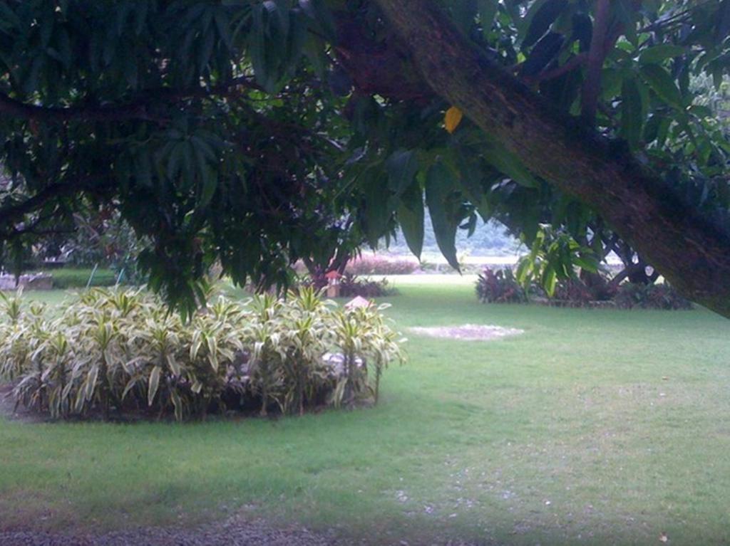 Dewdrop Mango Bloom Resort Nainital Camera foto